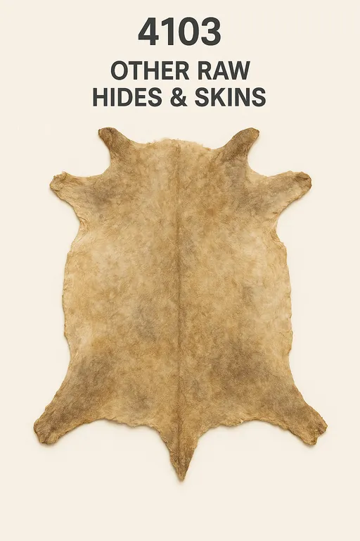 Other Raw Hides & Skins